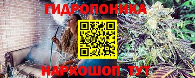 эйфоретик Конаково